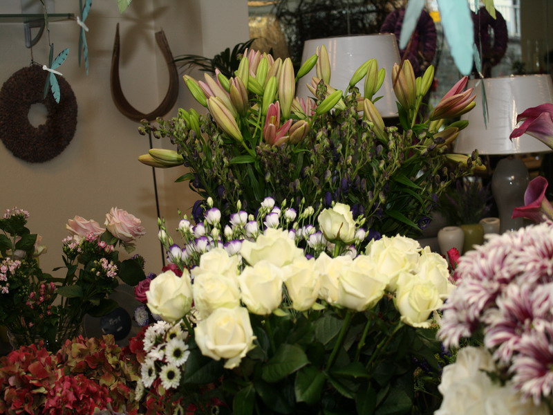 Schäfer's Florales