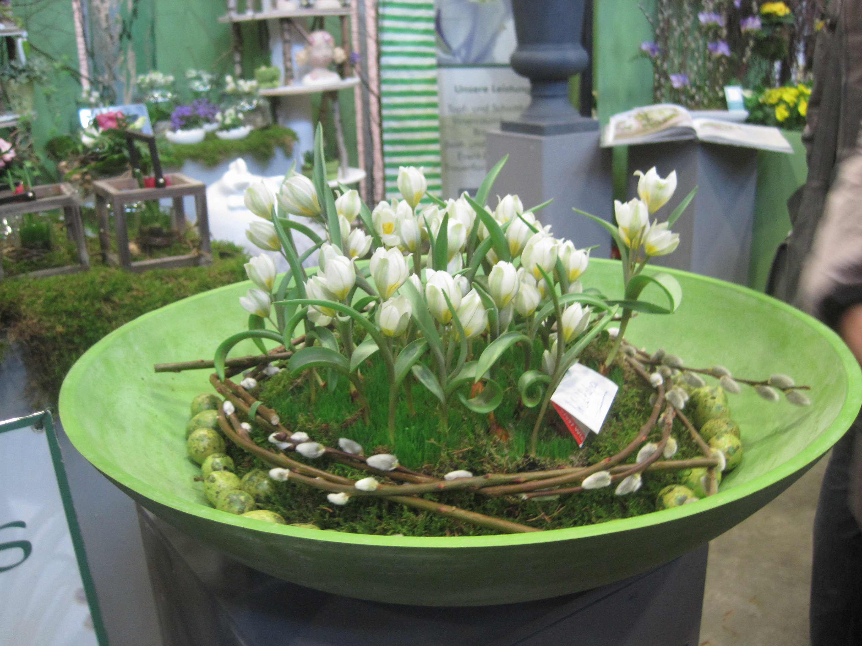 Schäfer's Florales