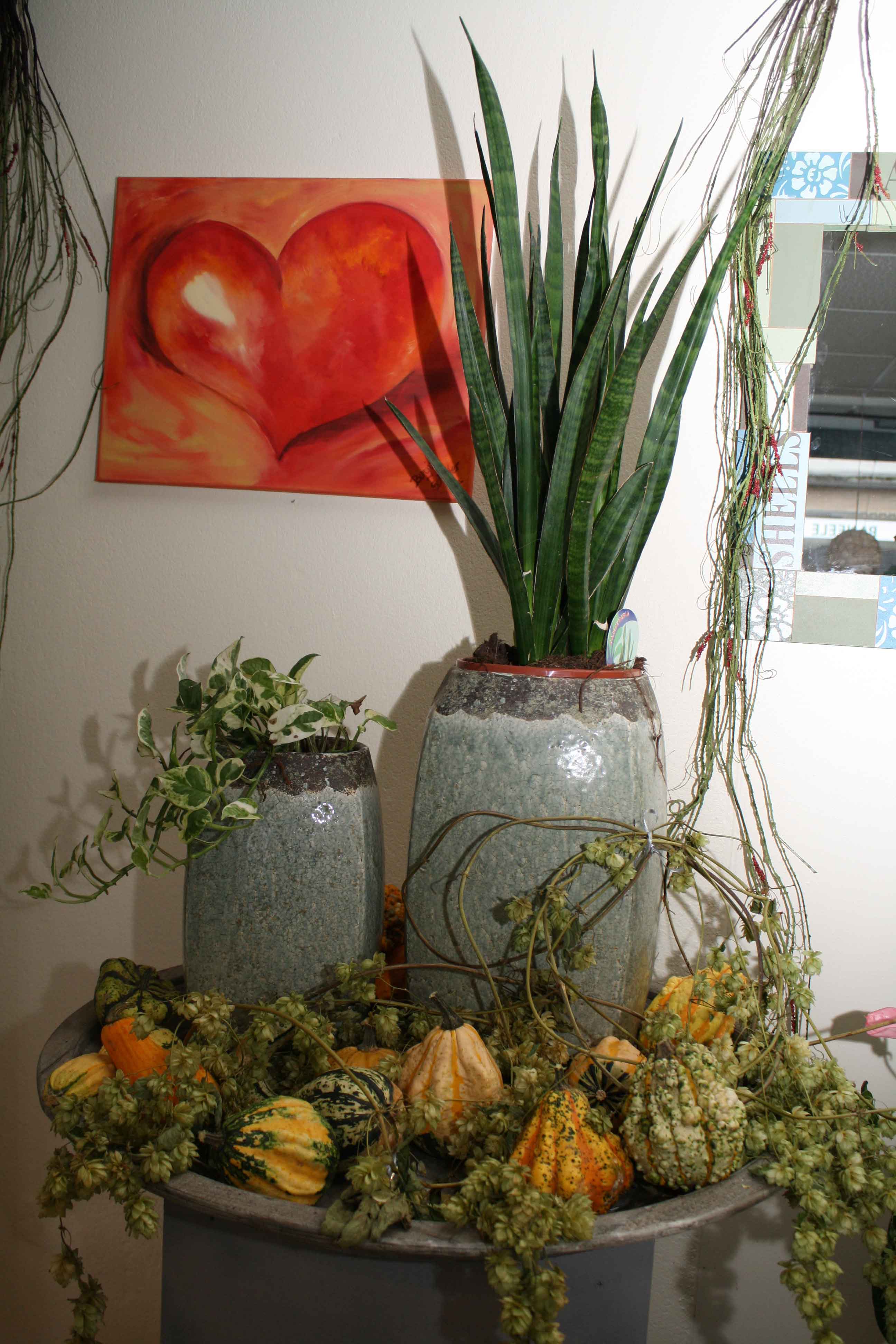 Schäfer's Florales